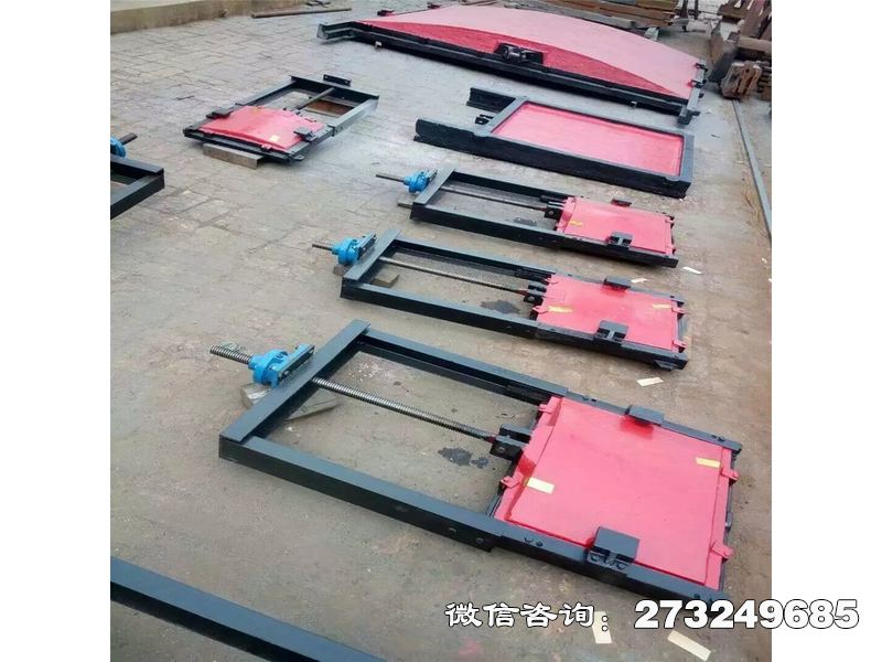 纳雍县蓄滞洪区应急分洪门机闸一体门