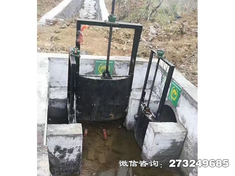 冀州分水灌渠机闸一体闸门