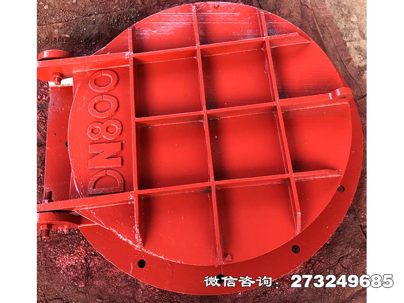 崂山铸铁圆形明渠拍门
